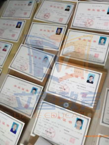 服務周到的學歷提升 信譽好的學歷證書培訓機構,當屬立雪教育,服務周到的學歷提升 信譽好的學歷證書培訓機構,當屬立雪教育生產(chǎn)廠家,服務周到的學歷提升 信譽好的學歷證書培訓機構