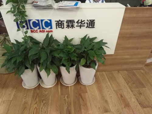 美都教育cdc成功牽手第三方卓越咨詢公司商霖華通
