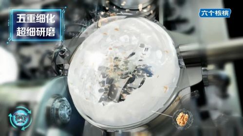 養(yǎng)元飲品上新六個核桃2430為智慧加油 教育專家張雪峰推薦一天一罐