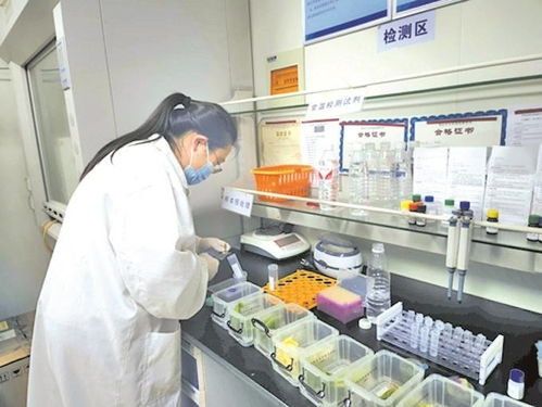 無錫快檢 小窗口 守護(hù) 菜籃子 為民辦實事項目提前完成上半年目標(biāo)