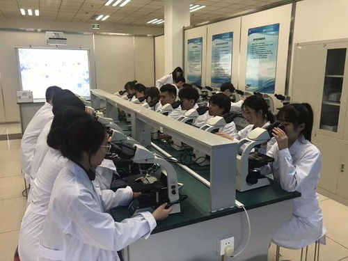 哈爾濱職業(yè)技術(shù)大學(xué)正式獲批設(shè)立