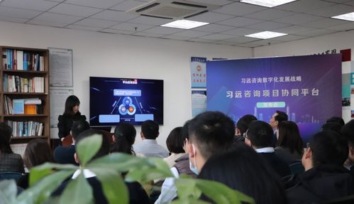 習(xí)遠(yuǎn)發(fā)布咨詢項(xiàng)目協(xié)同平臺 信息化系統(tǒng)實(shí)現(xiàn)業(yè)務(wù)全覆蓋